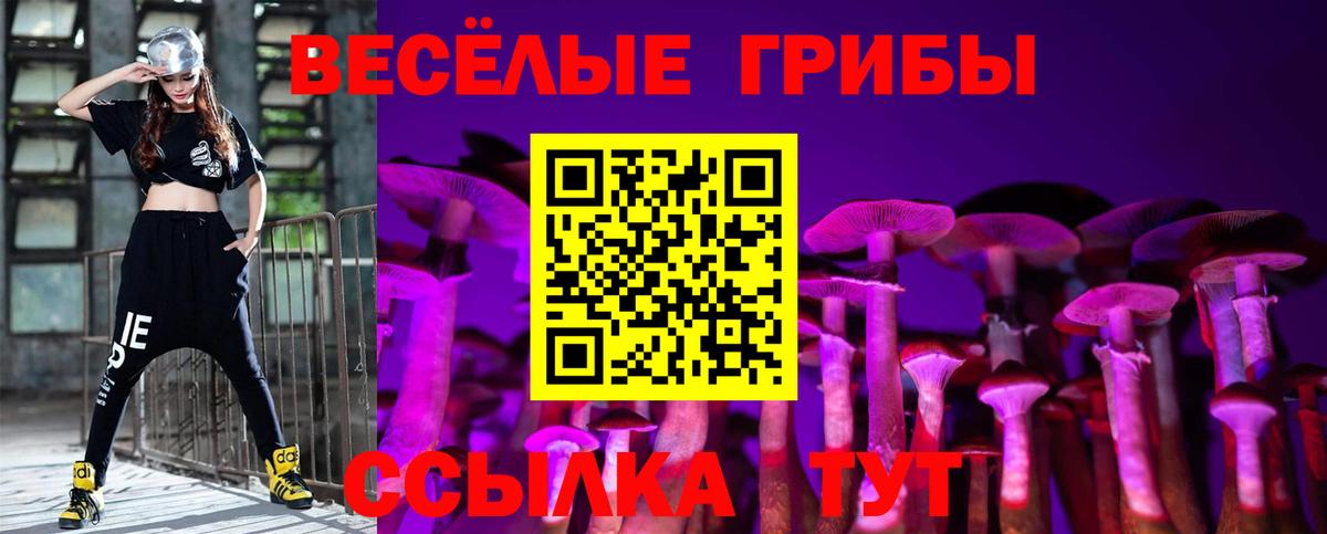 Псилоцибиновые грибы прущие грибы  хочу   Долгопрудный  Вход с VPN 